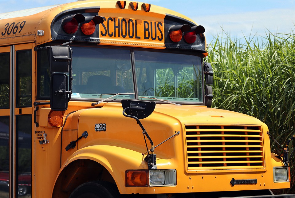 school bus.jpg