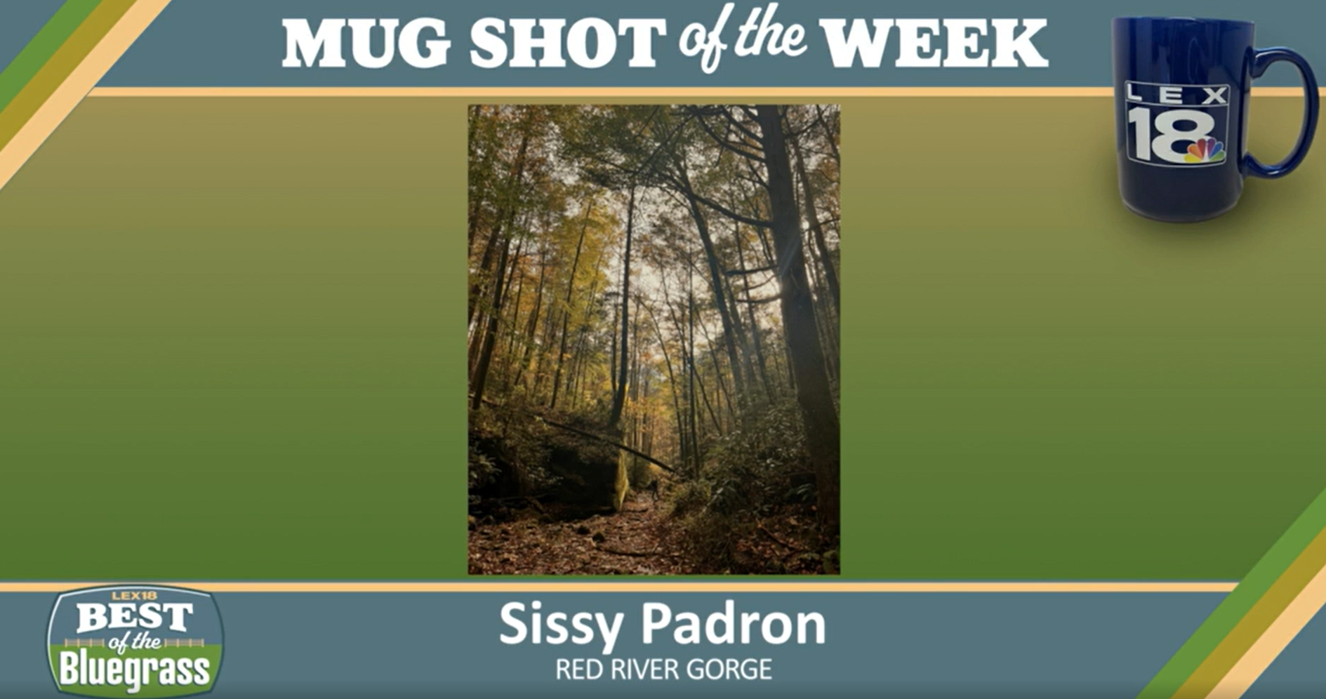msotw sissy padron.png