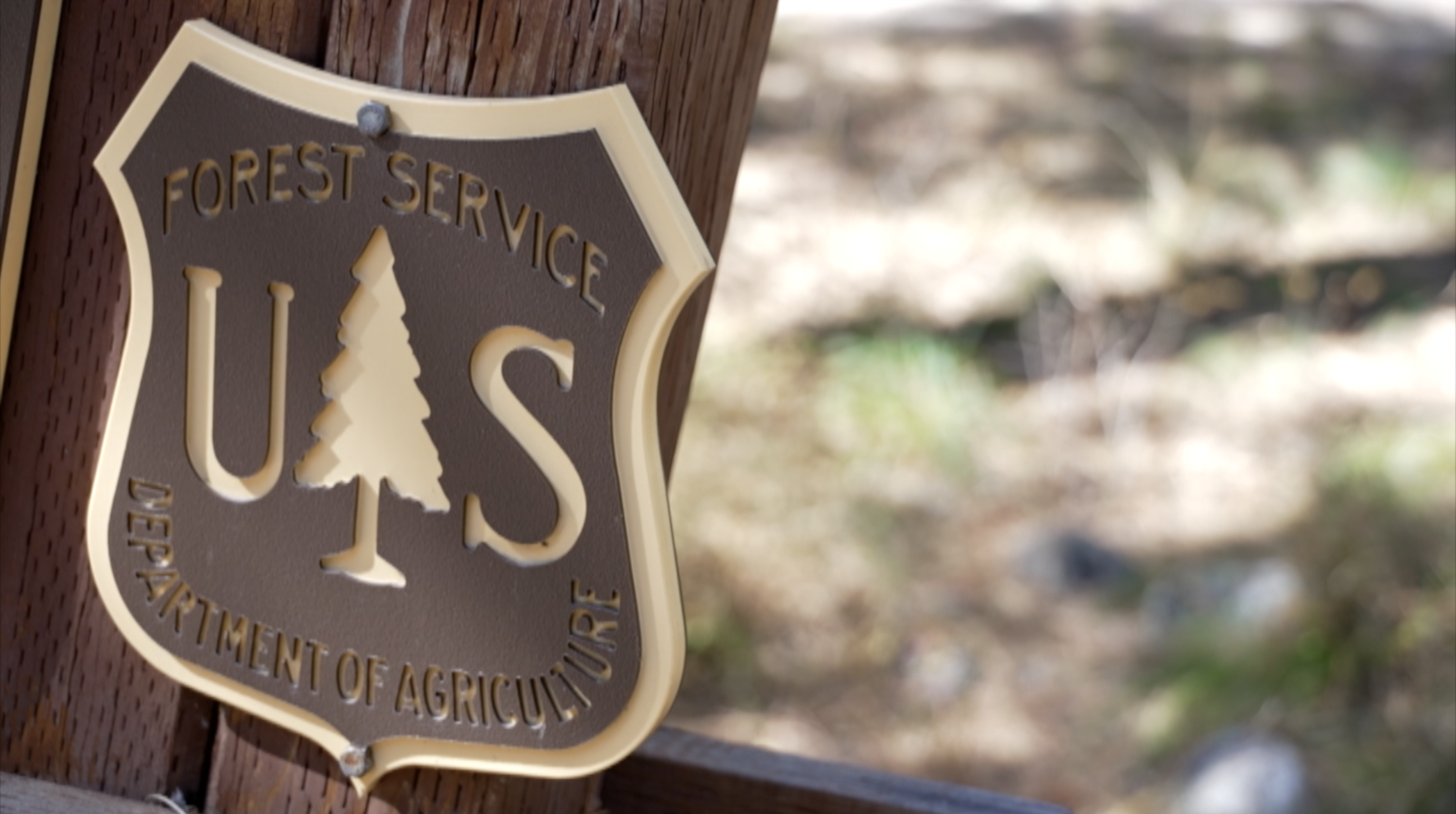 Forest Service Sign