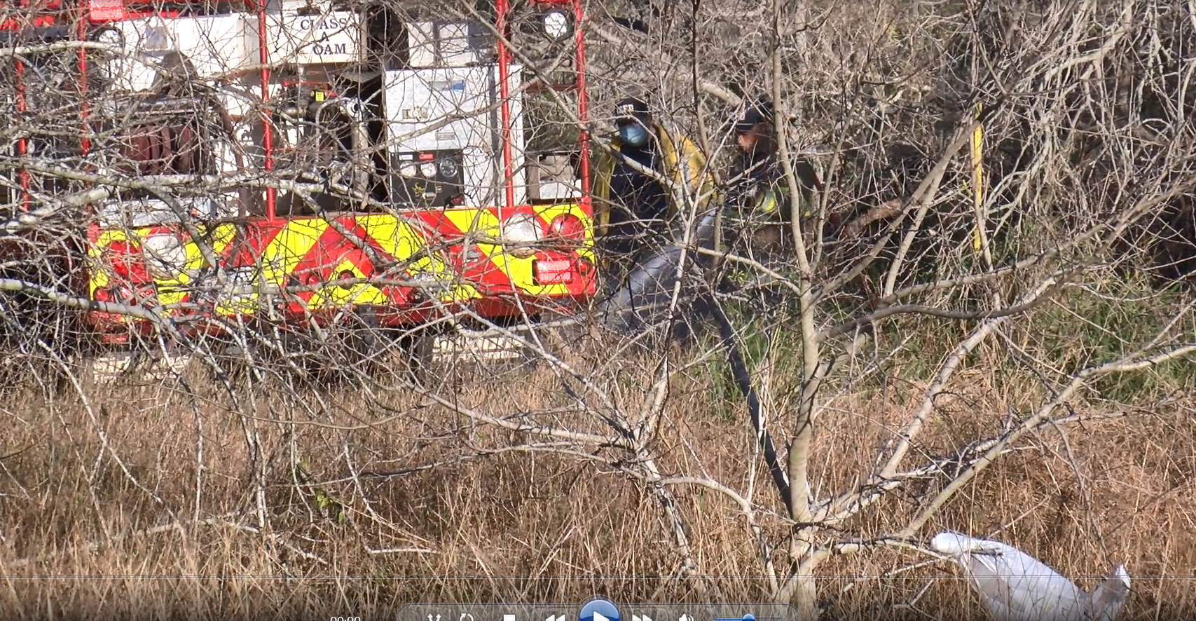 brush fire corpus.PNG