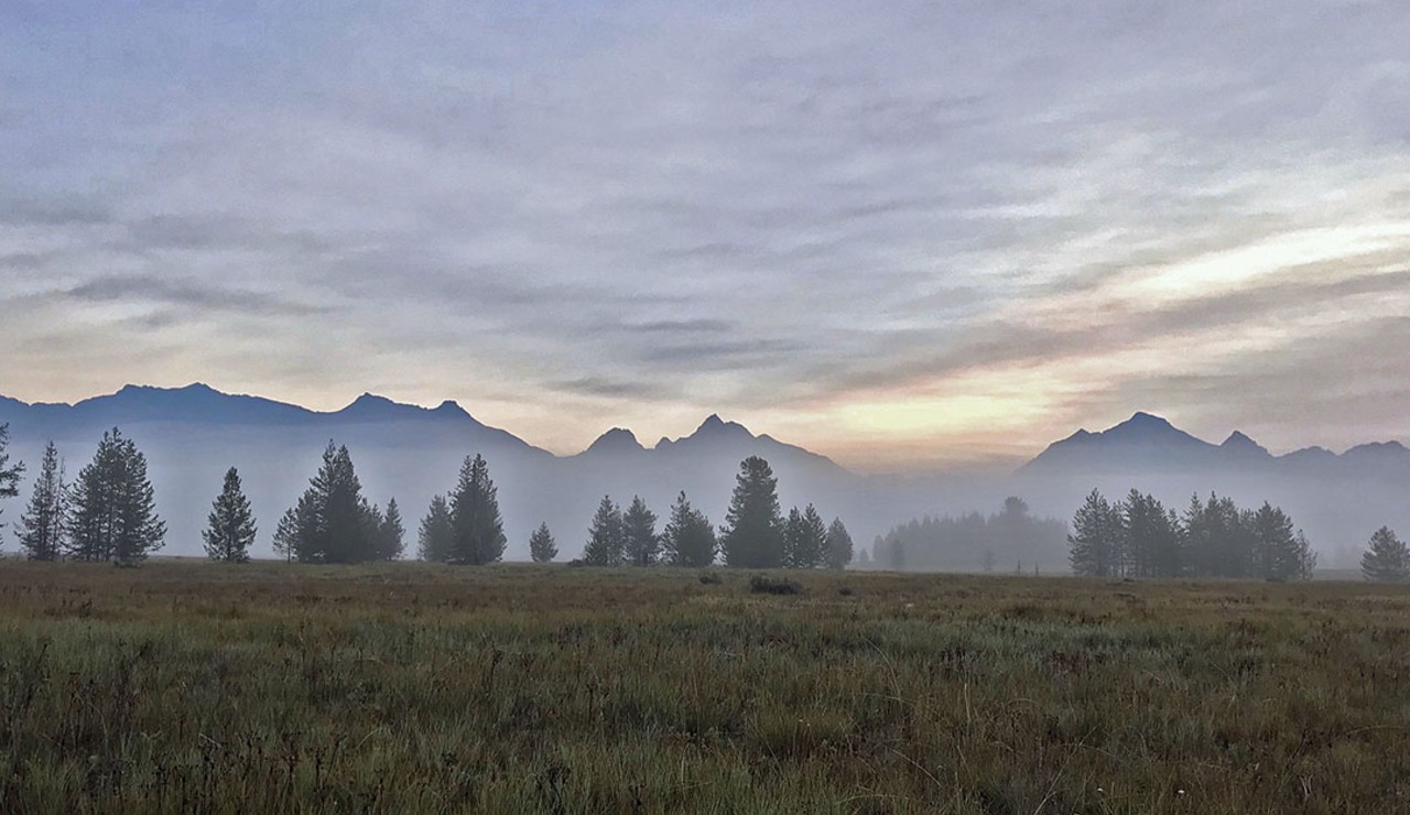 Flathead National Forest