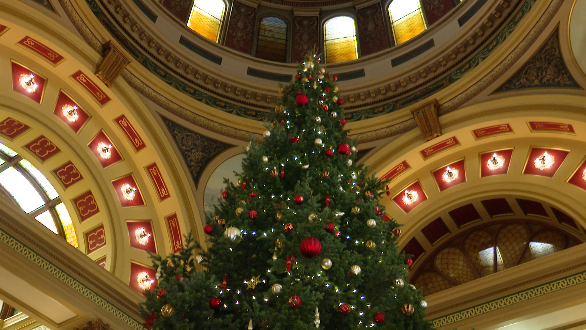 Christmas Tree.jpg