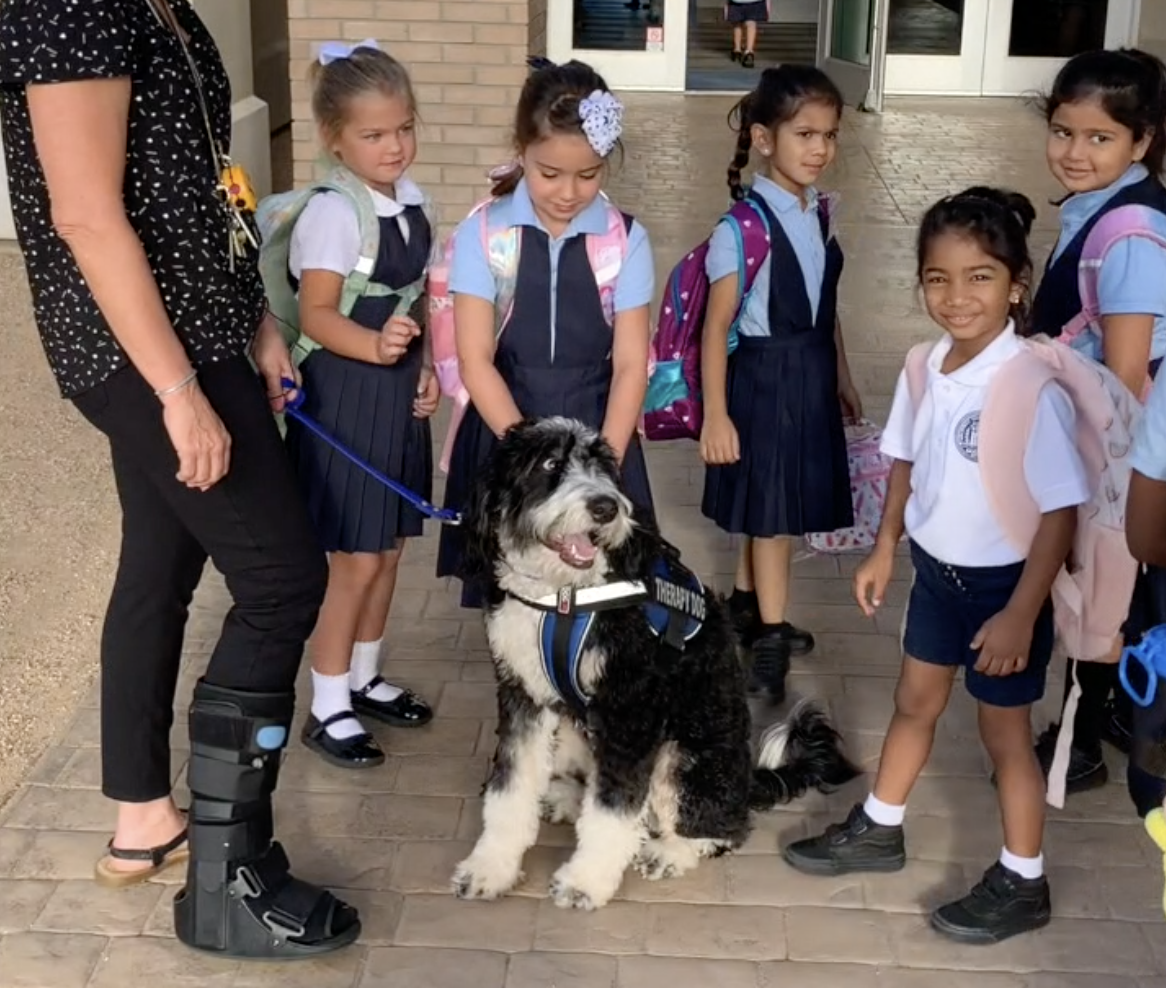 Mabel therapy dog.png