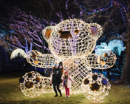 Wild Lights at Detroit Zoo