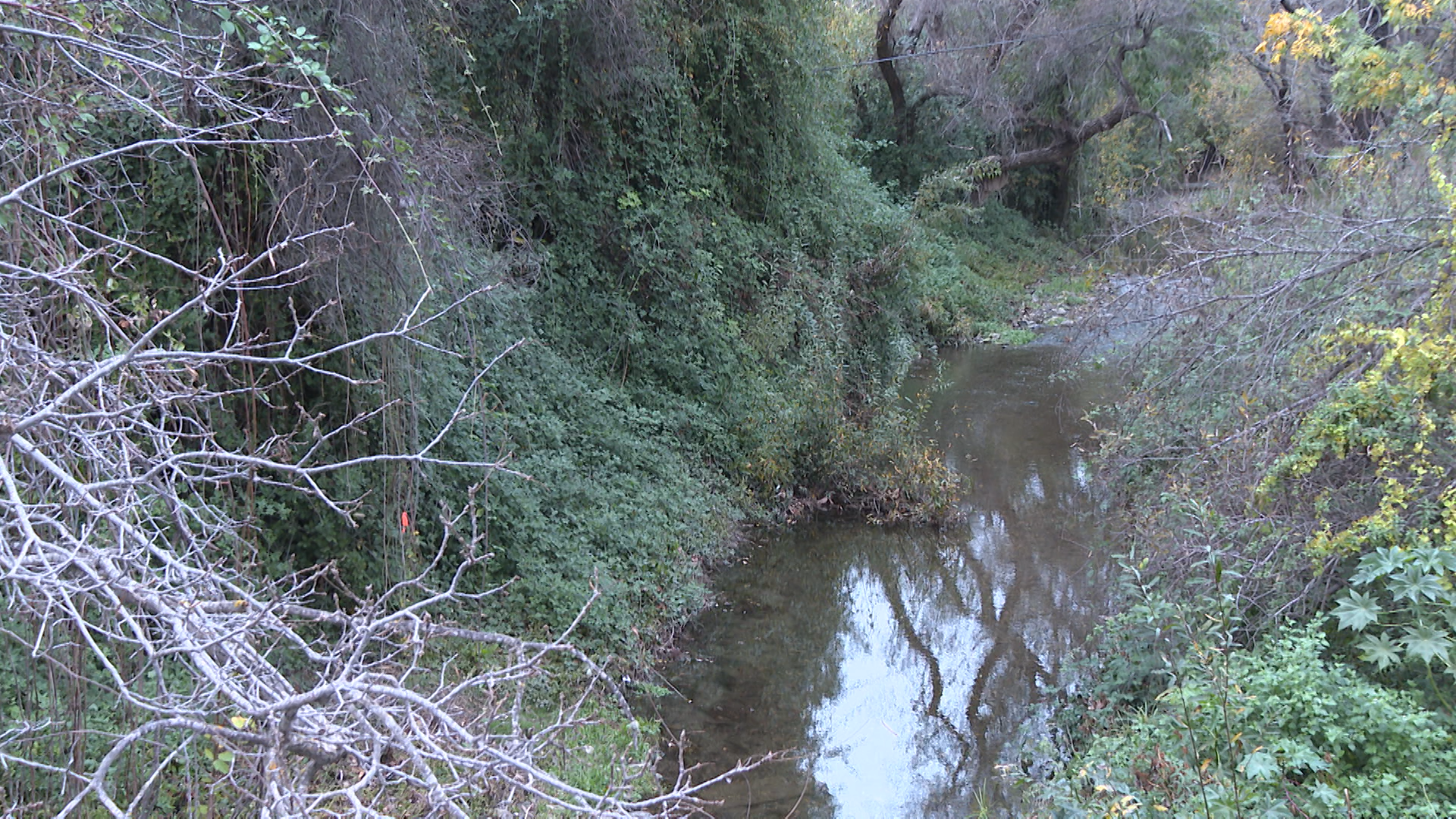 SAN LUIS OBISPO CREEK.png