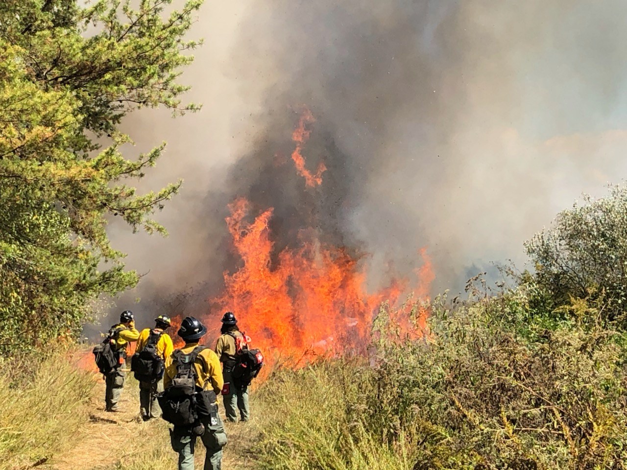 Daniel Boone fire