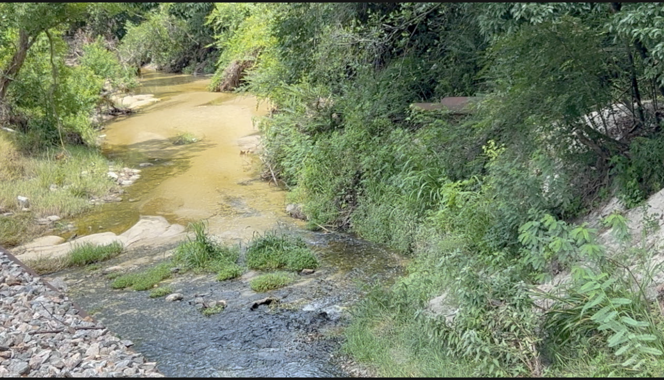 CREEK SEWAGE 1