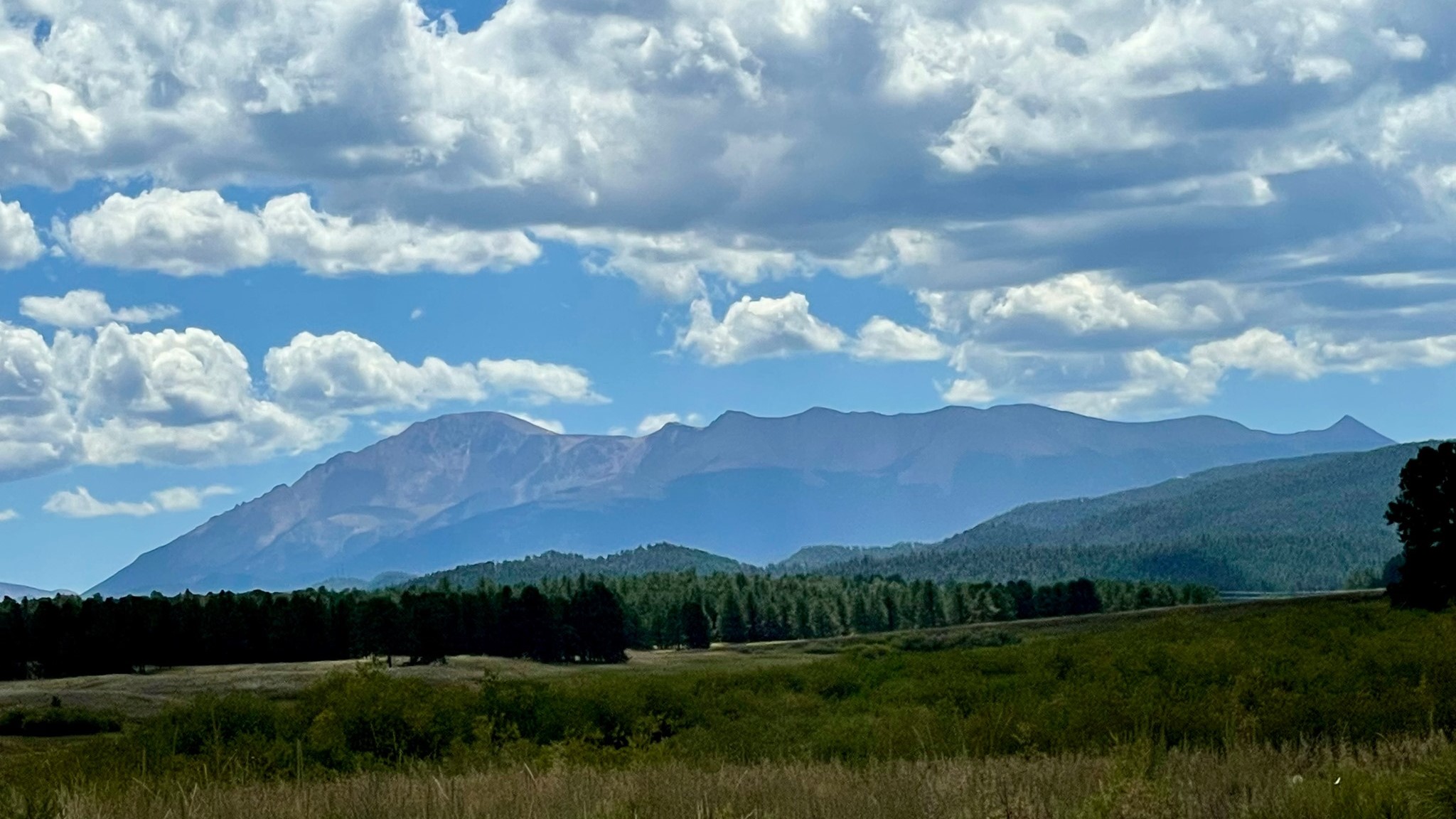 Carol Jean Brantner Woodland Park 8.23.21