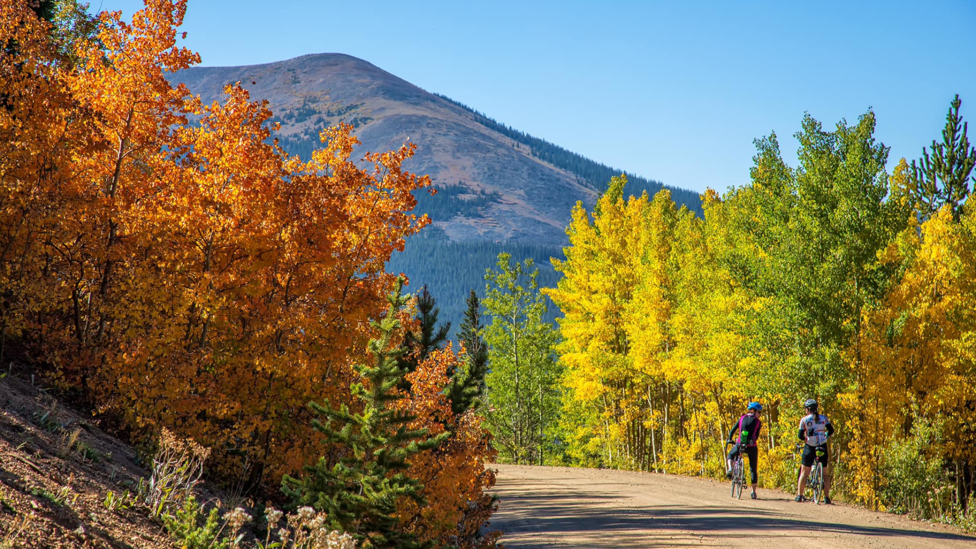 Boreas Pass Bruce Hausknecht.jpg