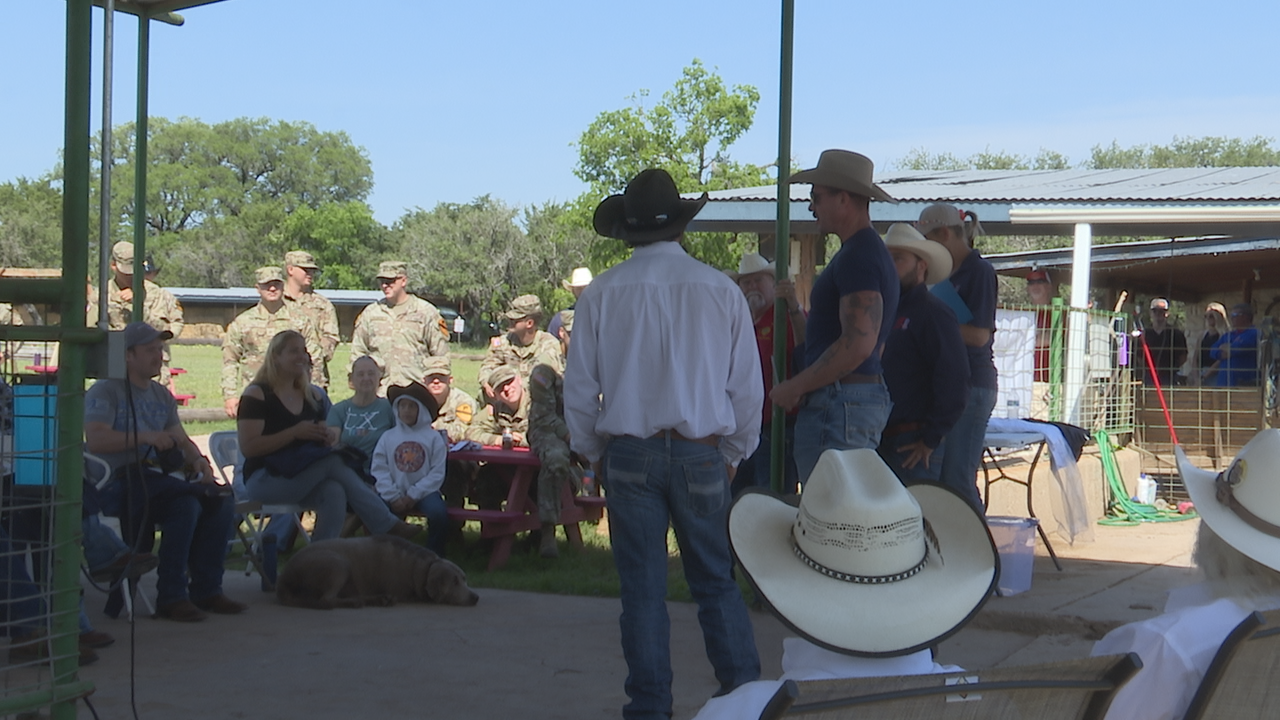 Local horse ranch helping service members and veterans with PTSD - Vimarsana News