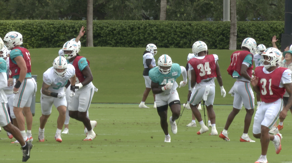Miami Dolphins Week 1