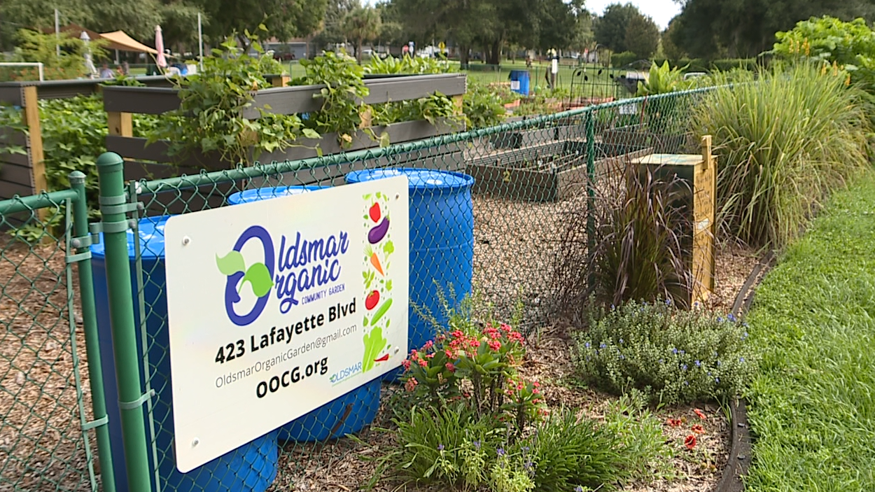 Oldsmar Community Garden