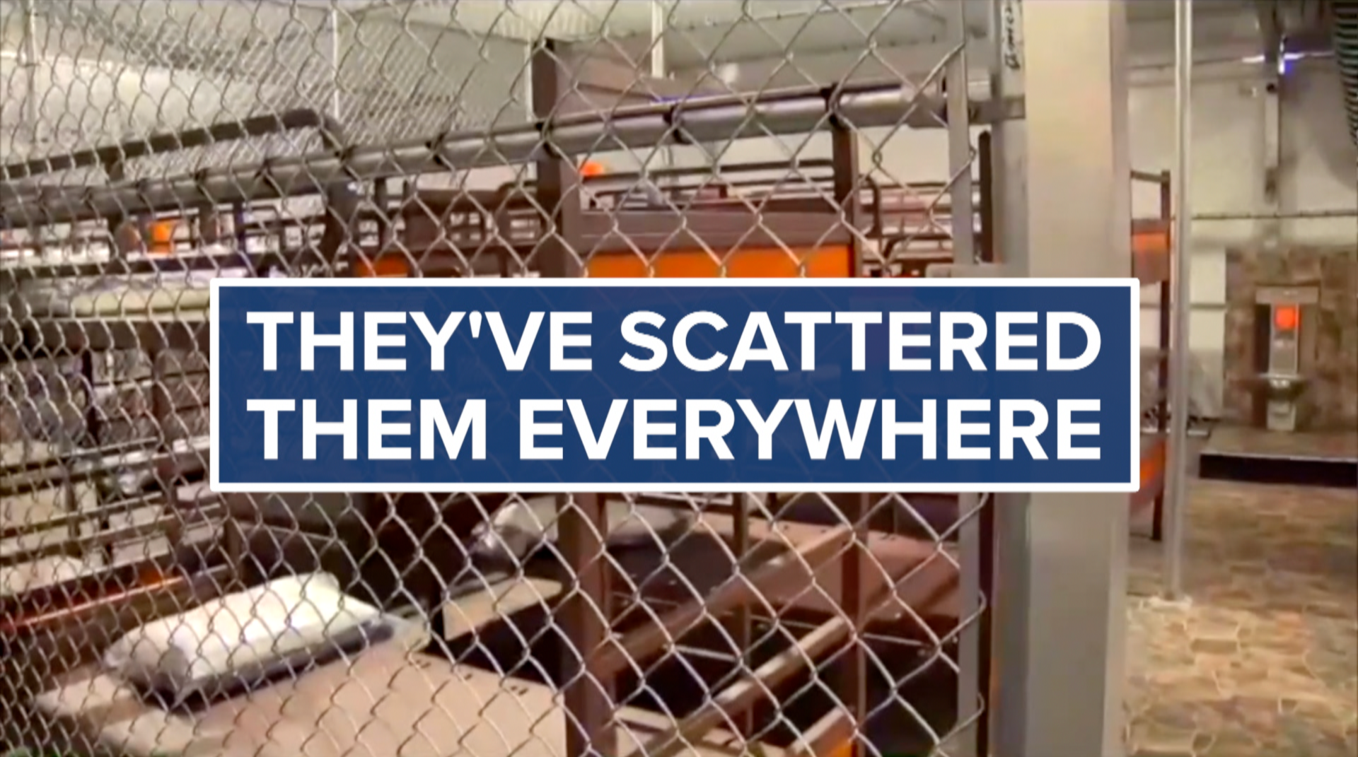 theyve scattered them everywhere Alligator Alcatraz June 2026.png