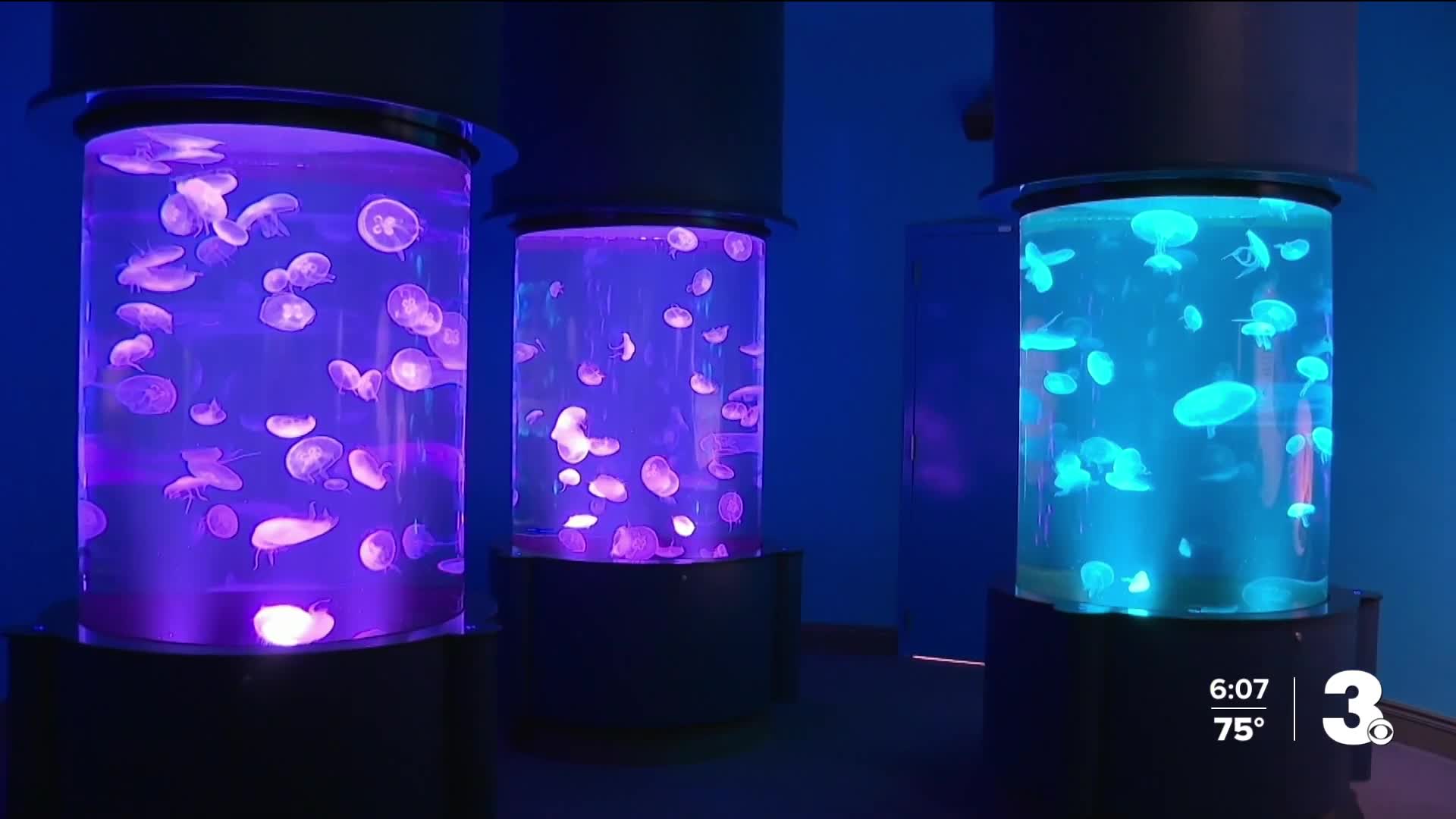 Virginia aquarium