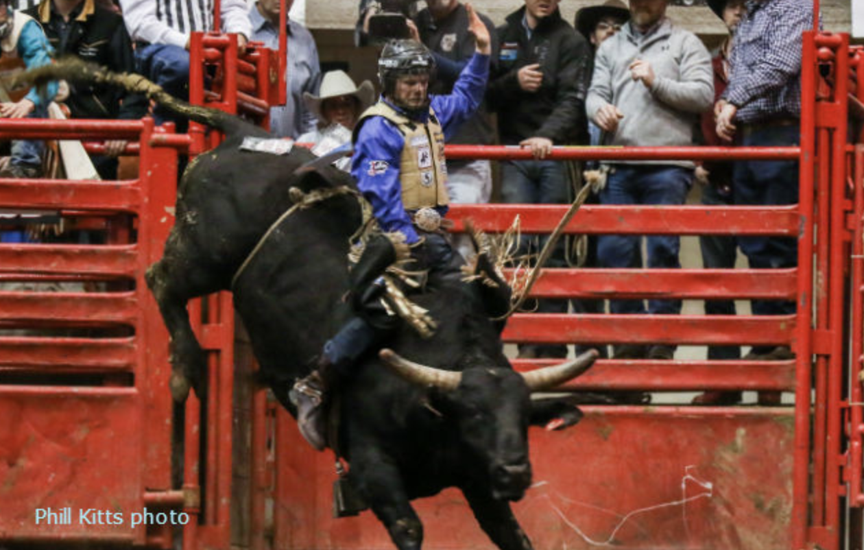 PRCA Bulls Frost.png