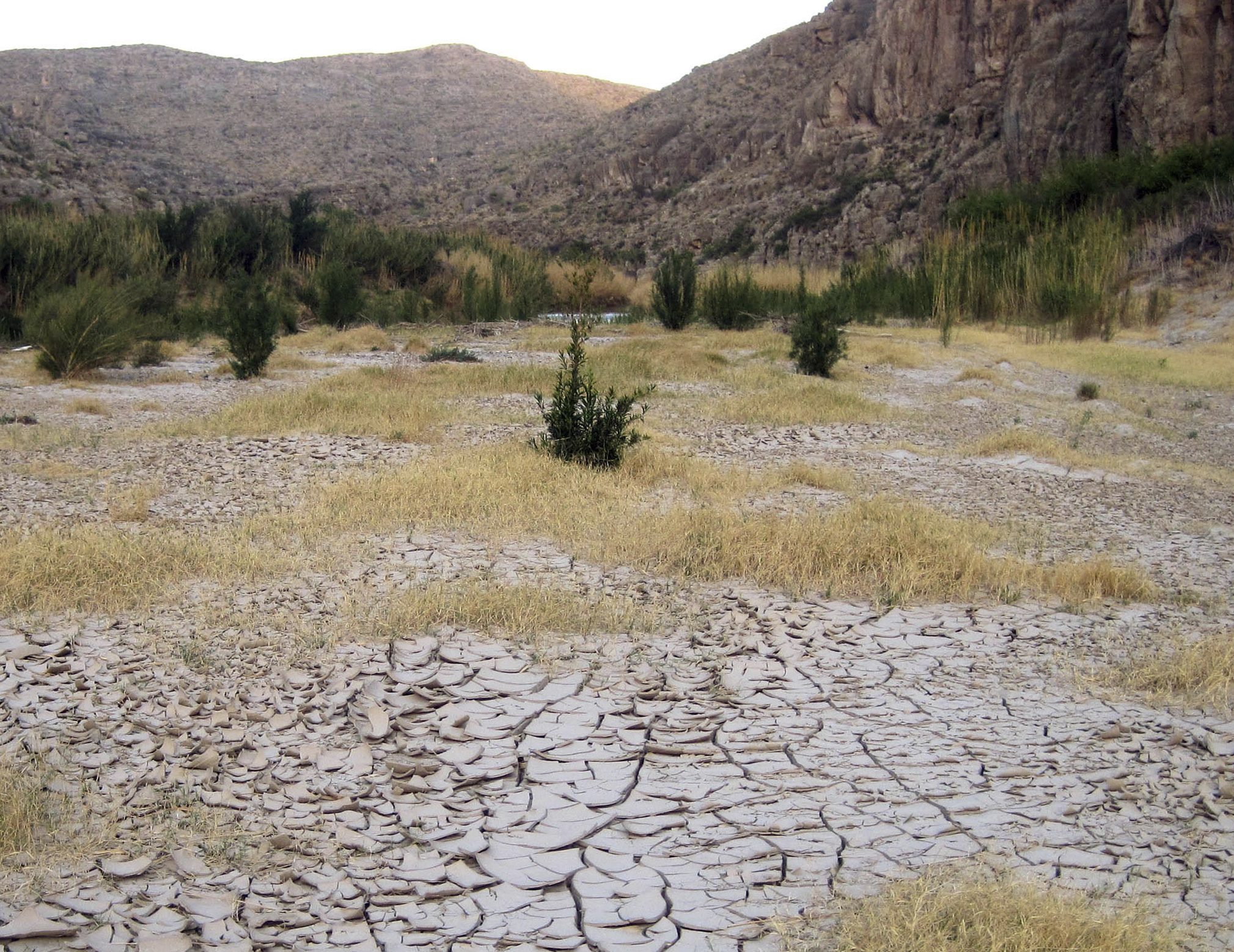La Nina