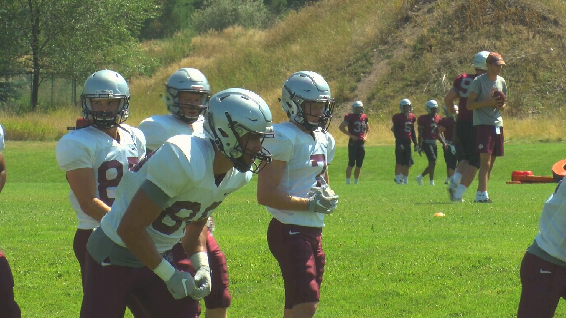 Griz WRs.jpg