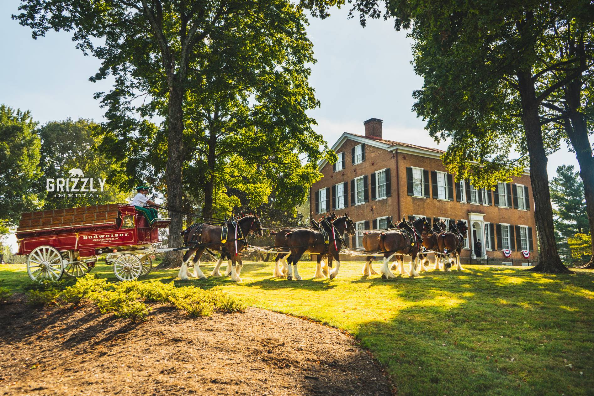 clydesdales.jpg