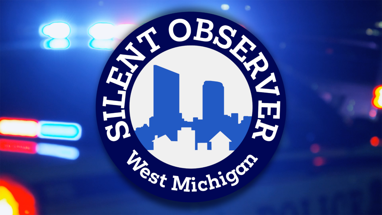 Silent Observer Logo