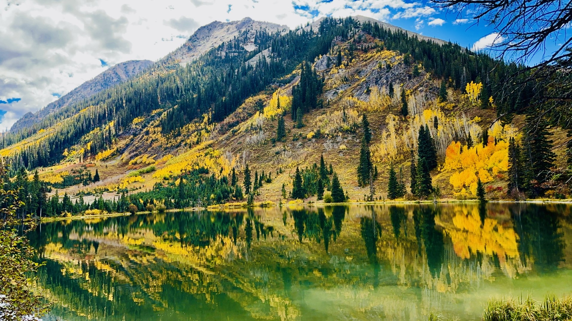 Kebler Pass fall colors