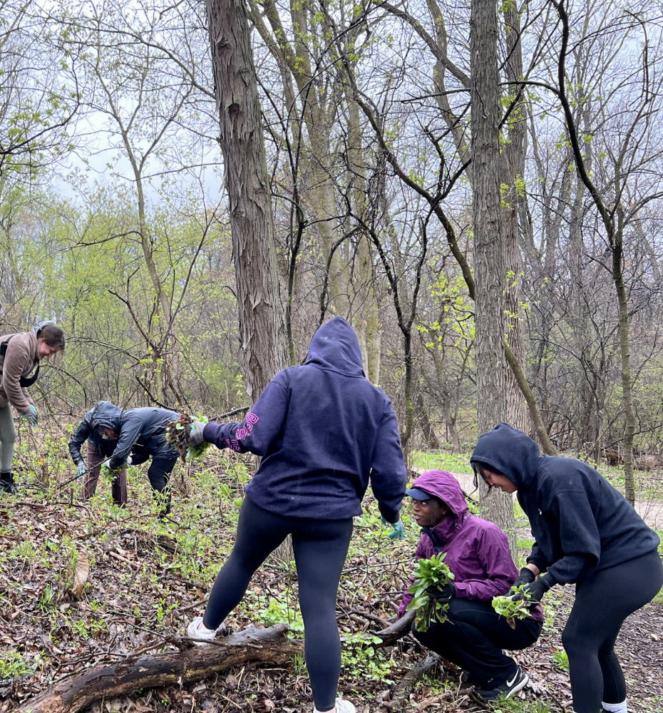 East Lansing fall cleanup