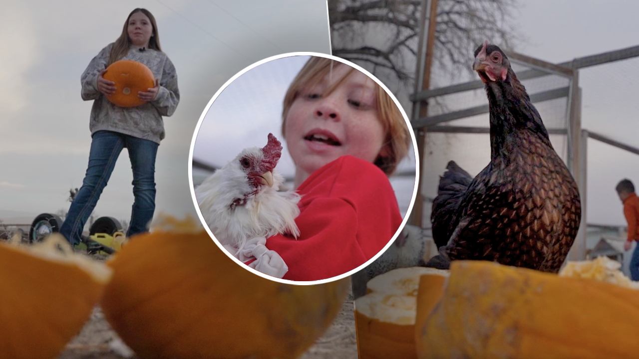 fort lupton farm.png