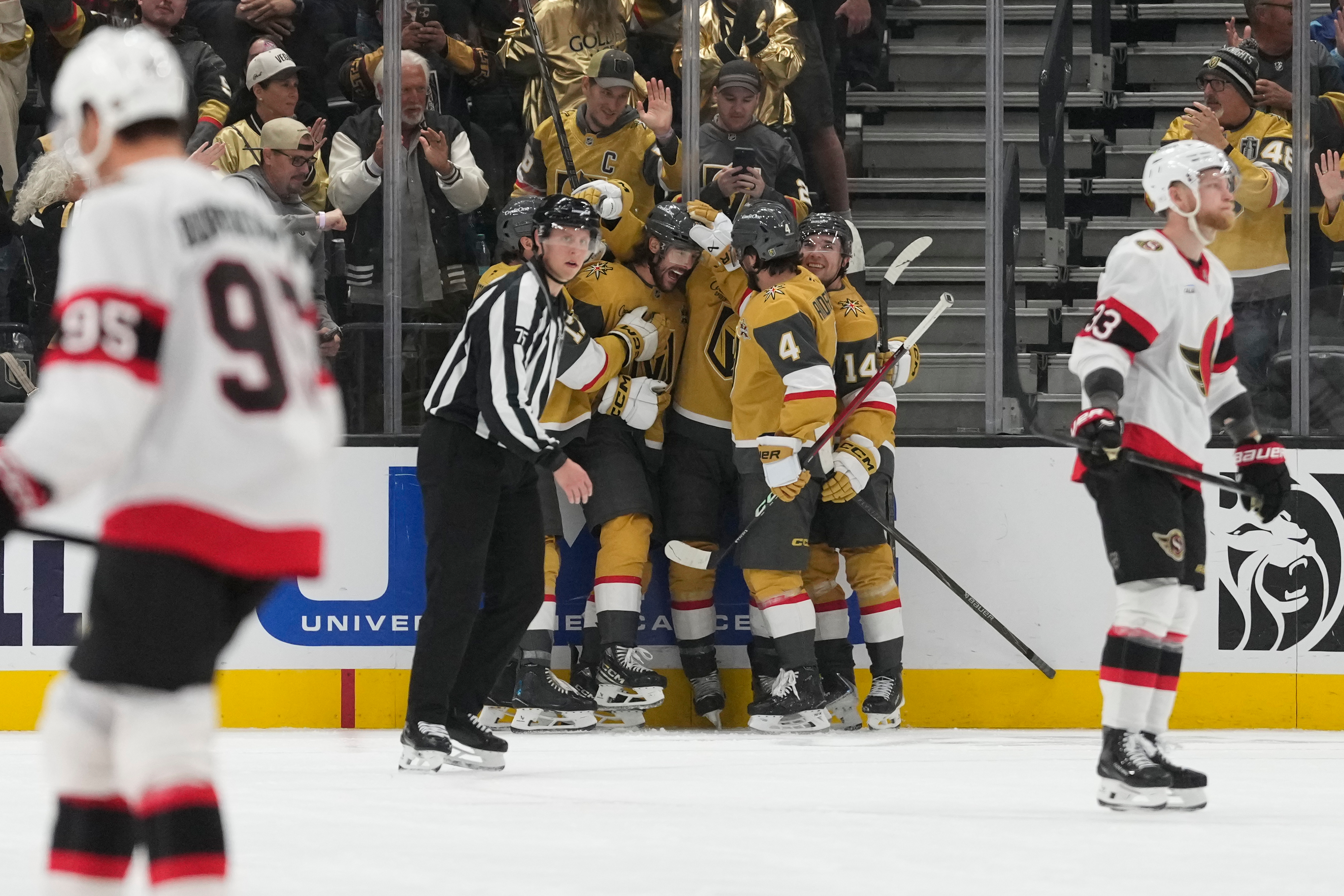 Senators Golden Knights Hockey
