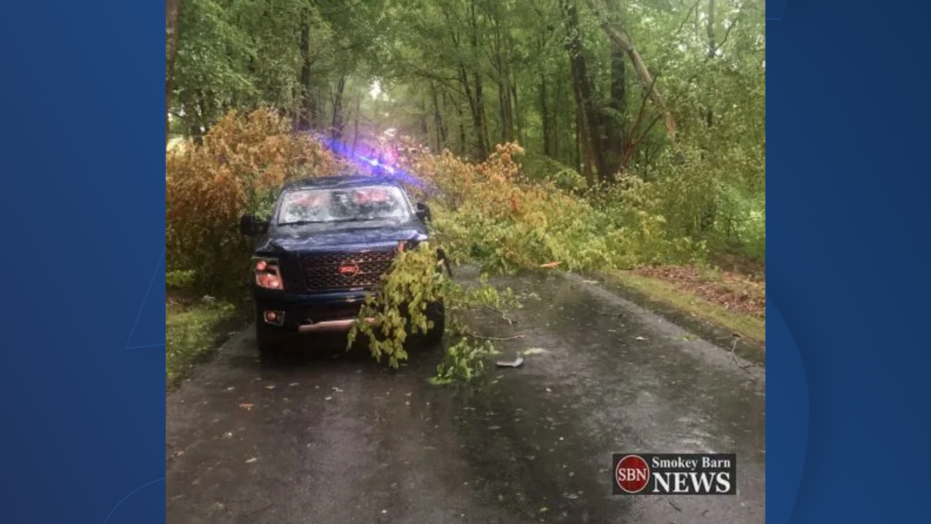 tree on truck
