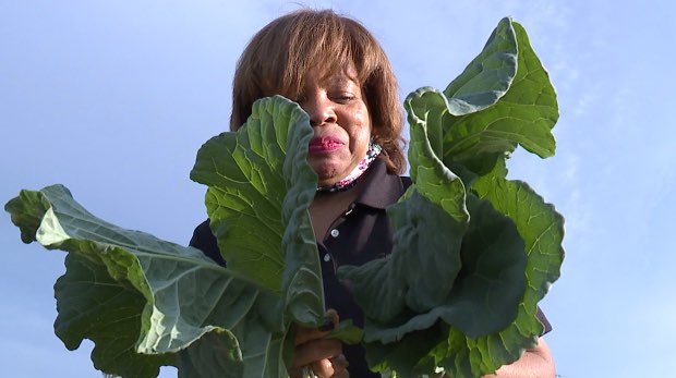 Diana Gregory
