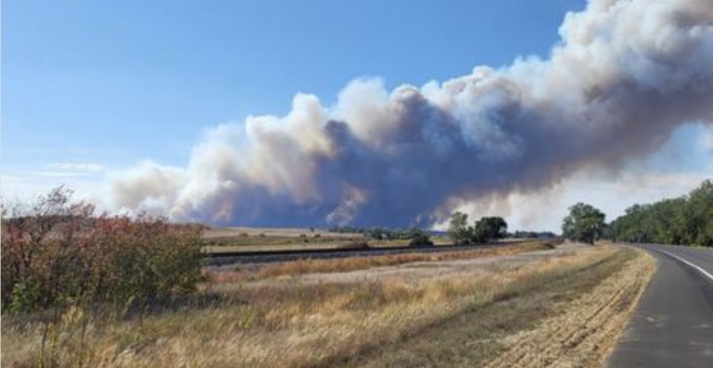 wildfire
