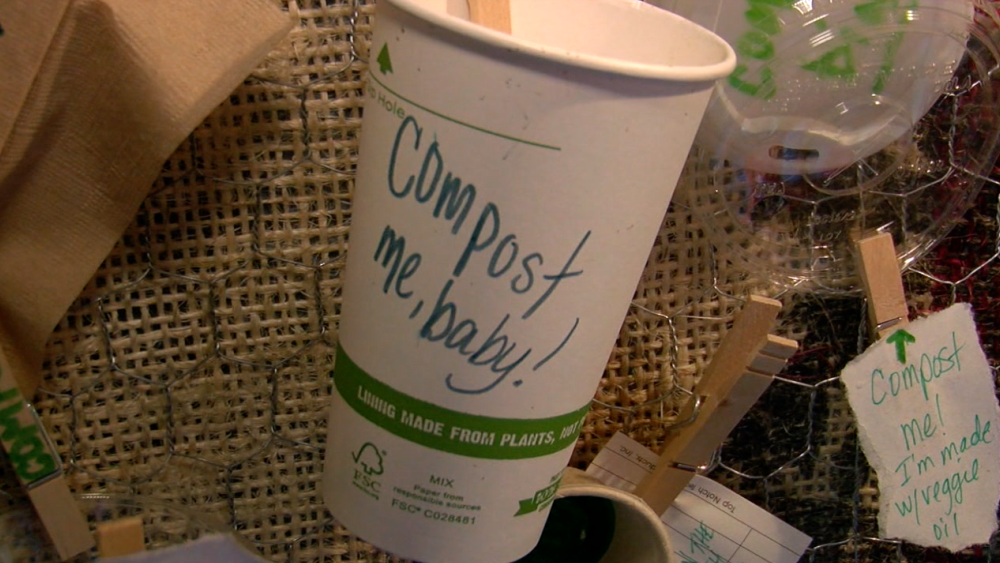 compostable coffee cup at Black Crow Coffee