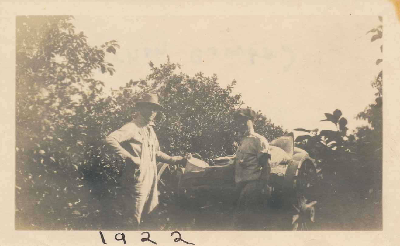 Citrus Farmers