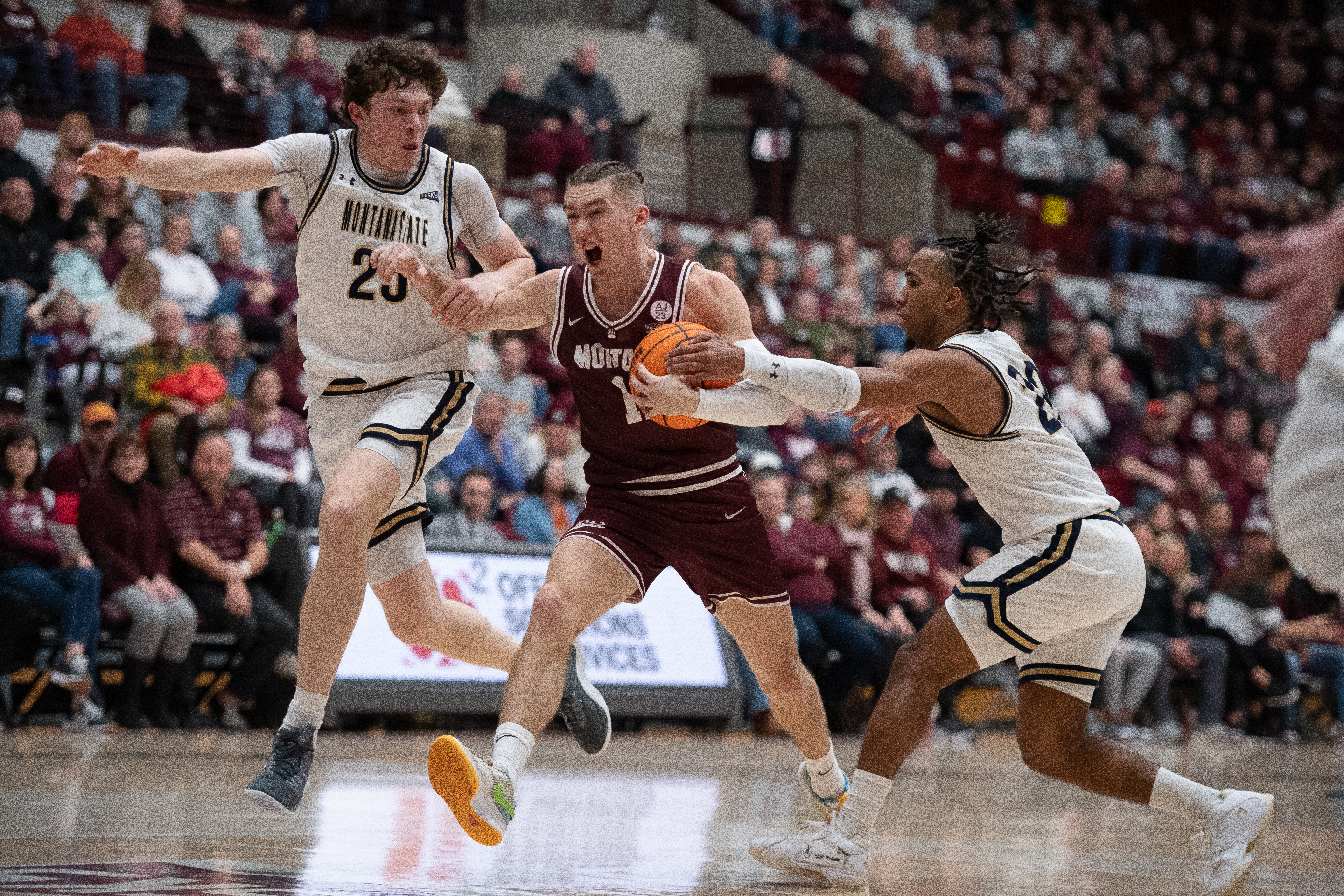 Montana State at Montana men's basketball