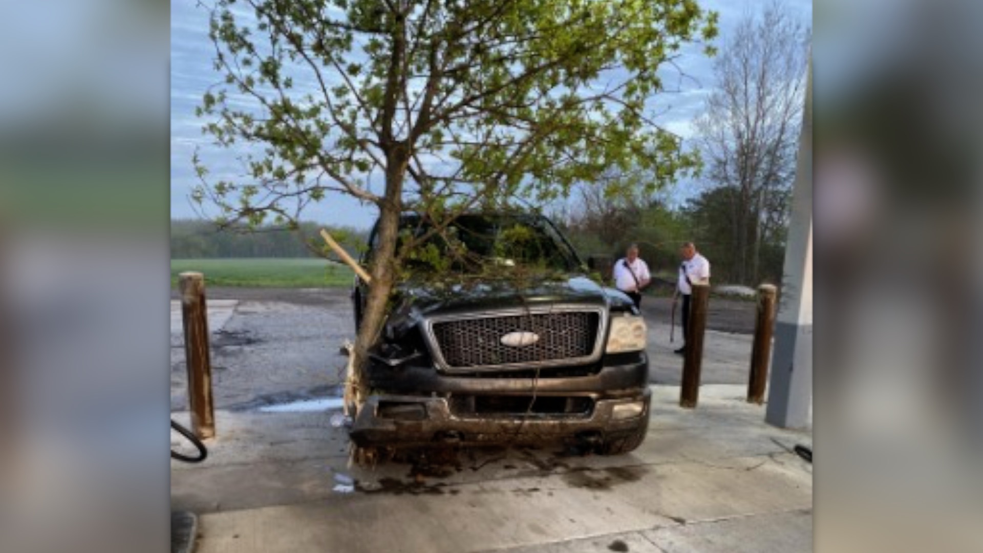 tree embedded in truck after Wheatfield Township crash.jpg
