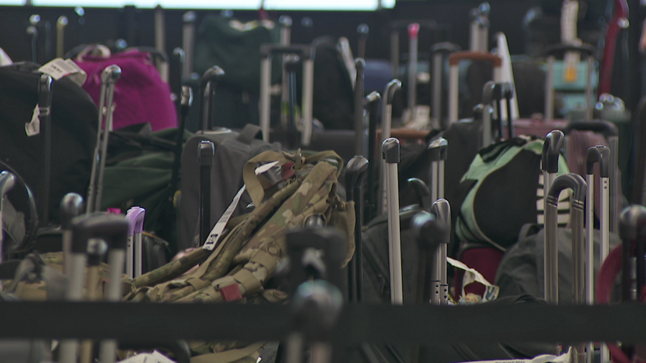 dia baggage.png