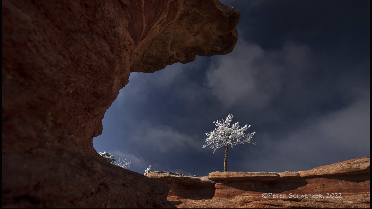 Garden of the Gods Peter Schwepker