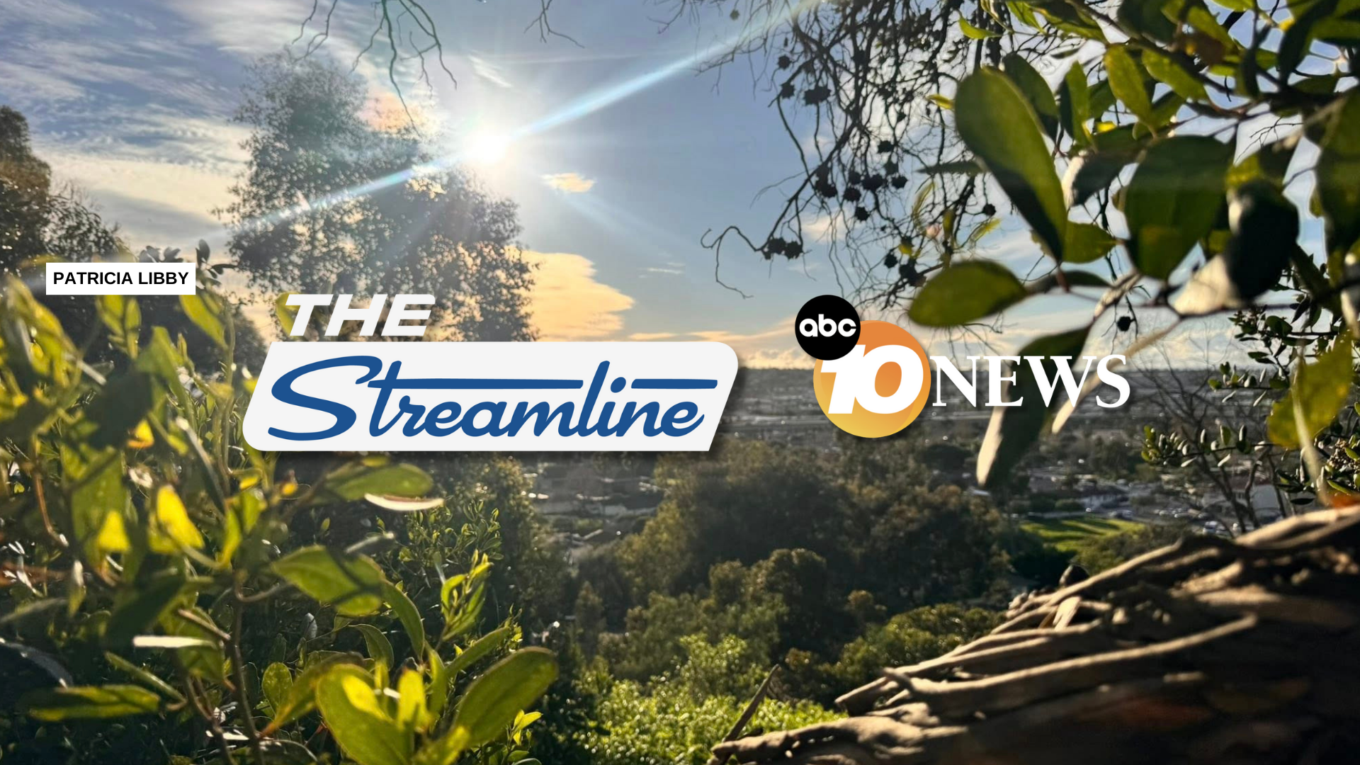 streamline_patricia_libby_011226.png
