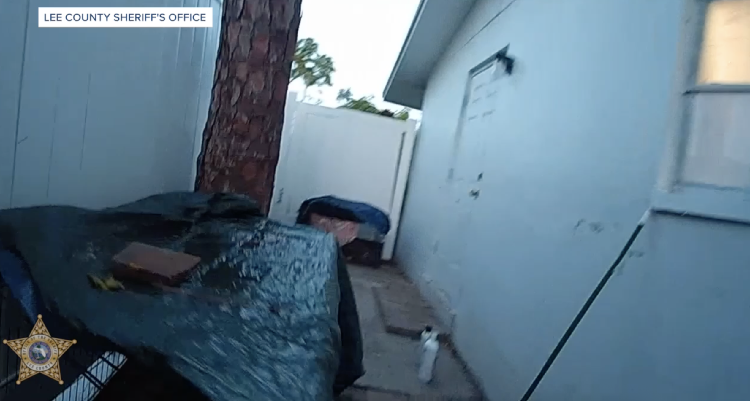 Lee County man charged with animal cruelty after leaving dogs to die in cages 