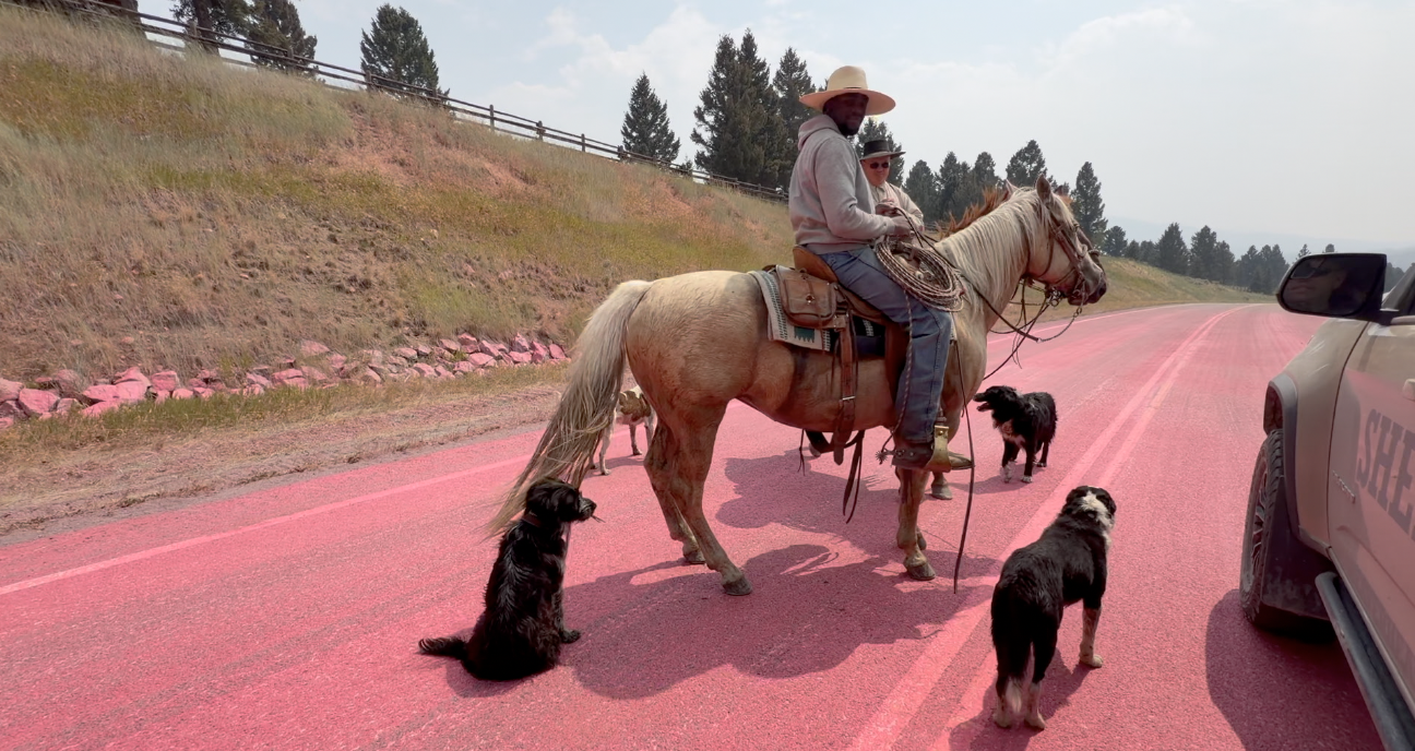 Cowboys save cattle from Sand Creek Fire 