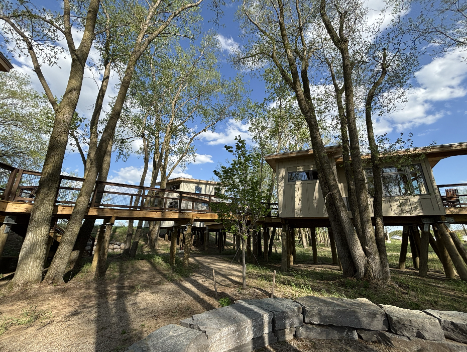 treehouse 2.png