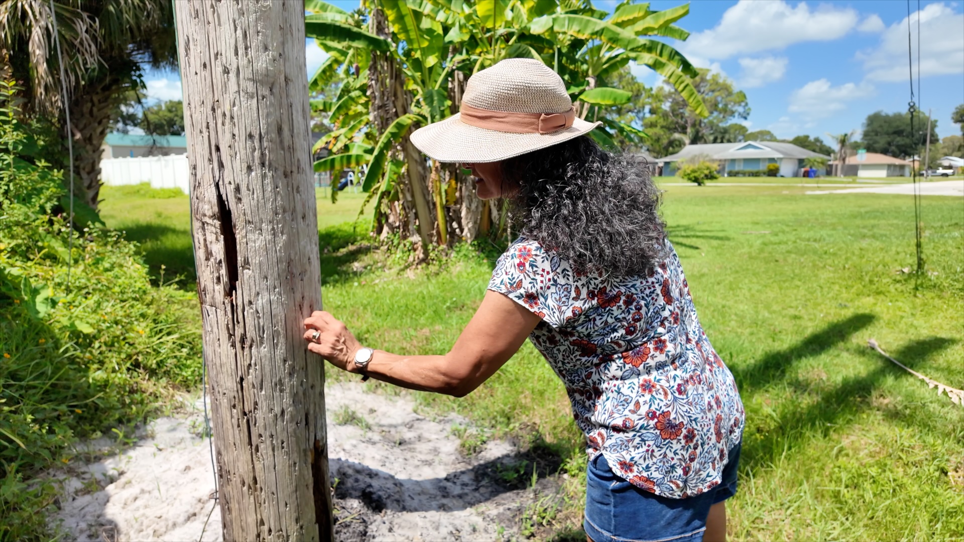 Vero Beach pole replaced