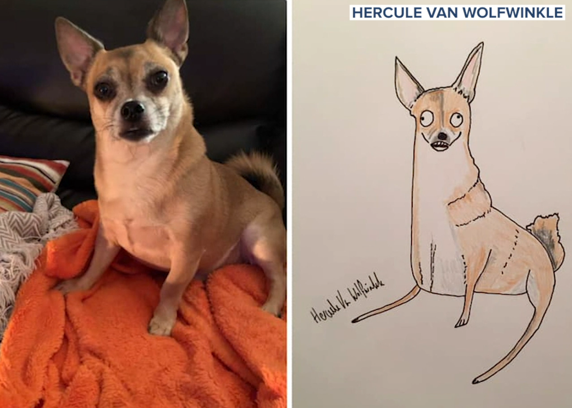 Dad's amateur pet portraits raising thousands for charity
