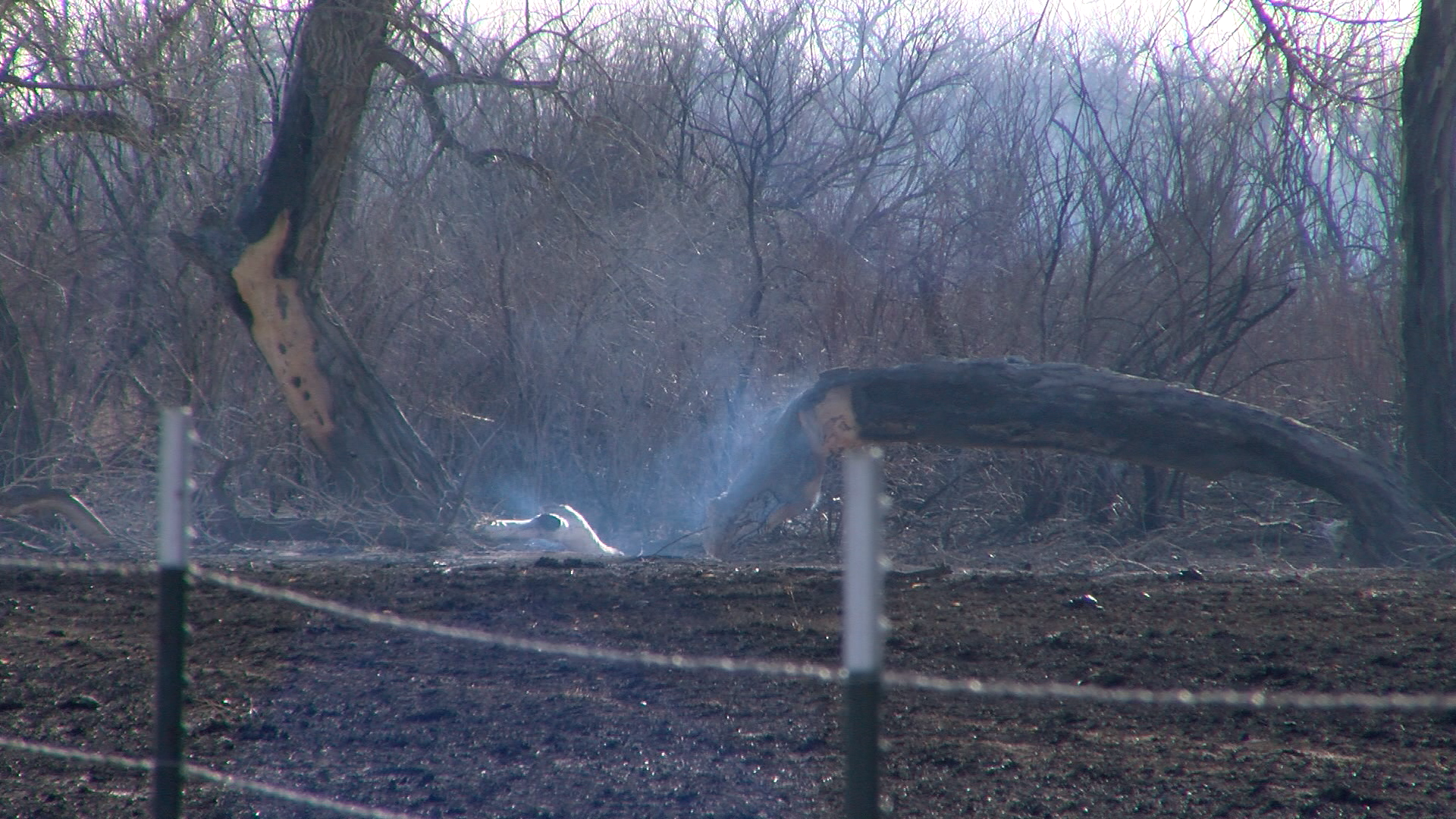 Roughly 600 or more acres burned on a ranch in Bent County