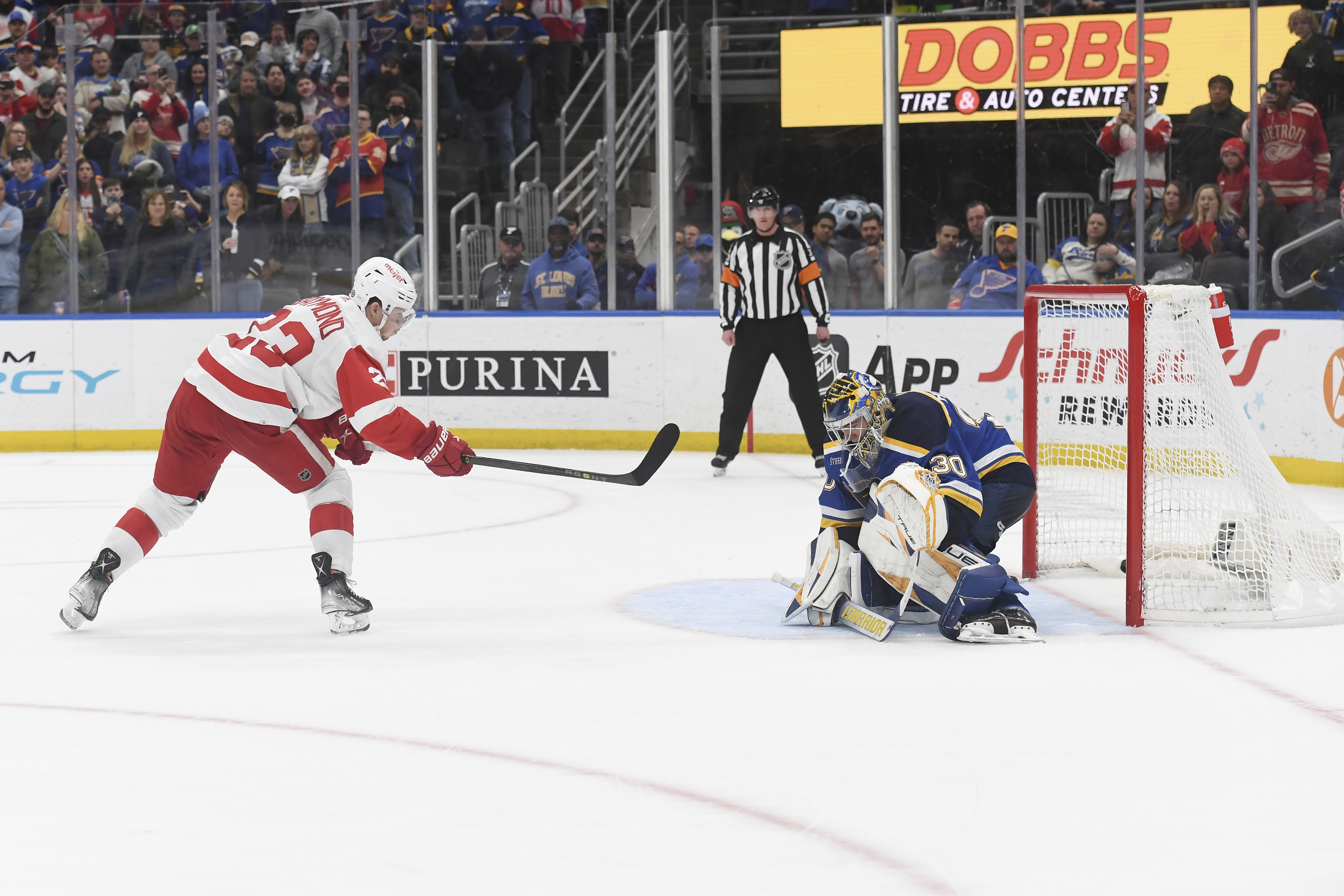 Red Wings Blues Hockey