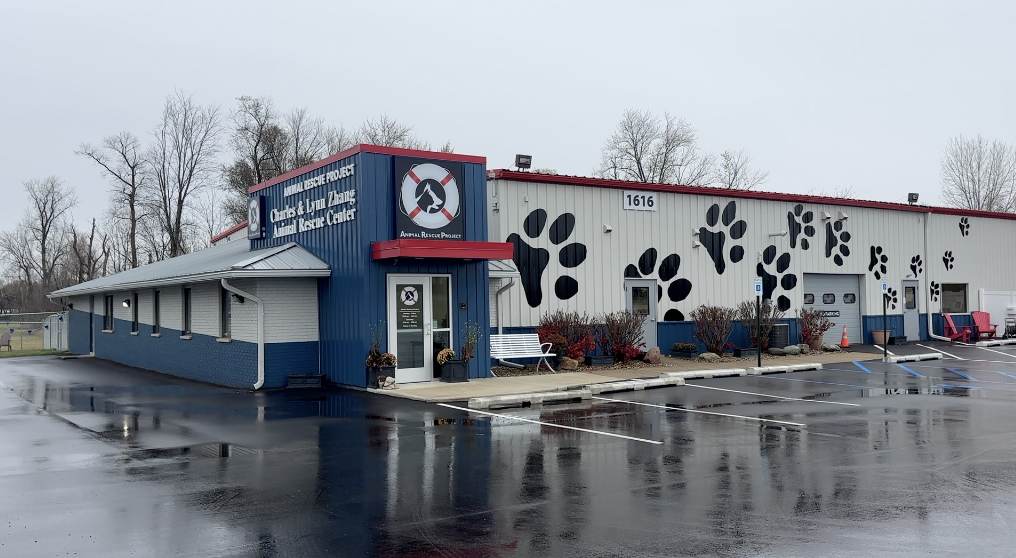 animal rescue project.png