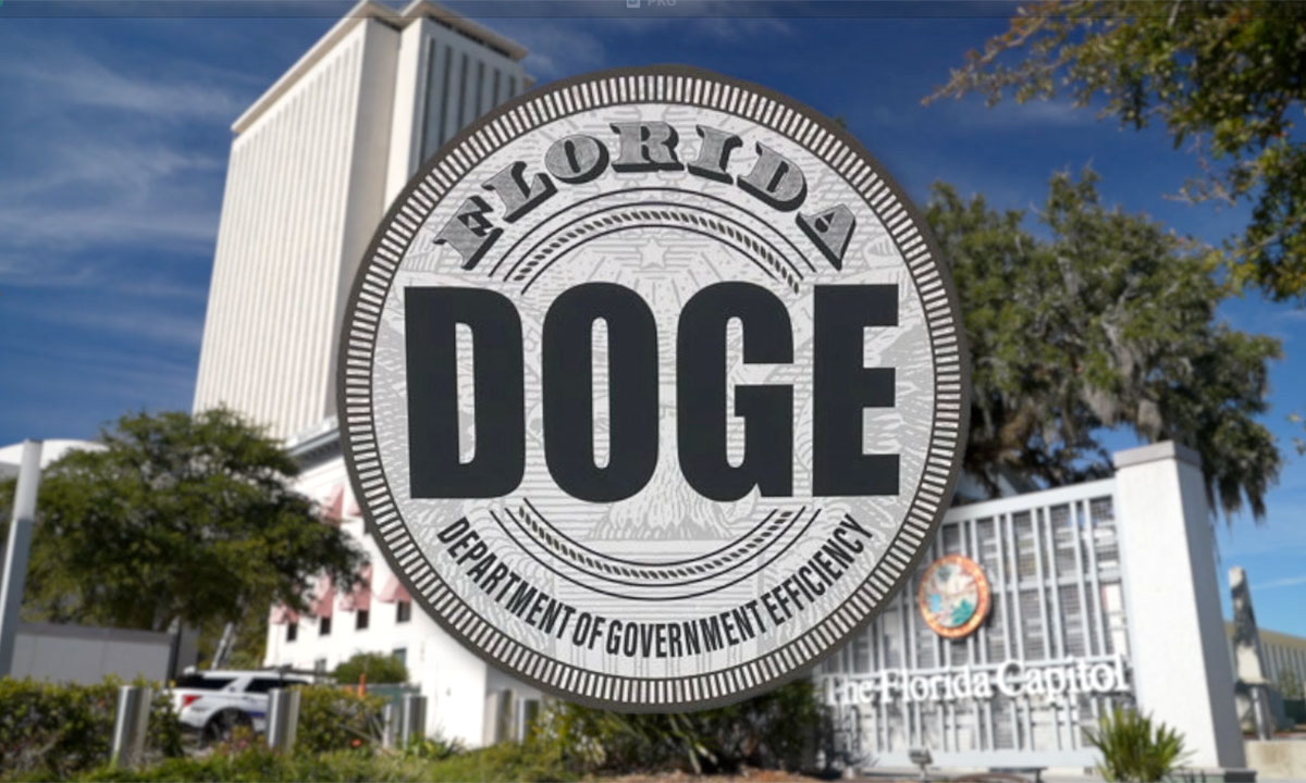 Florida DOGE 