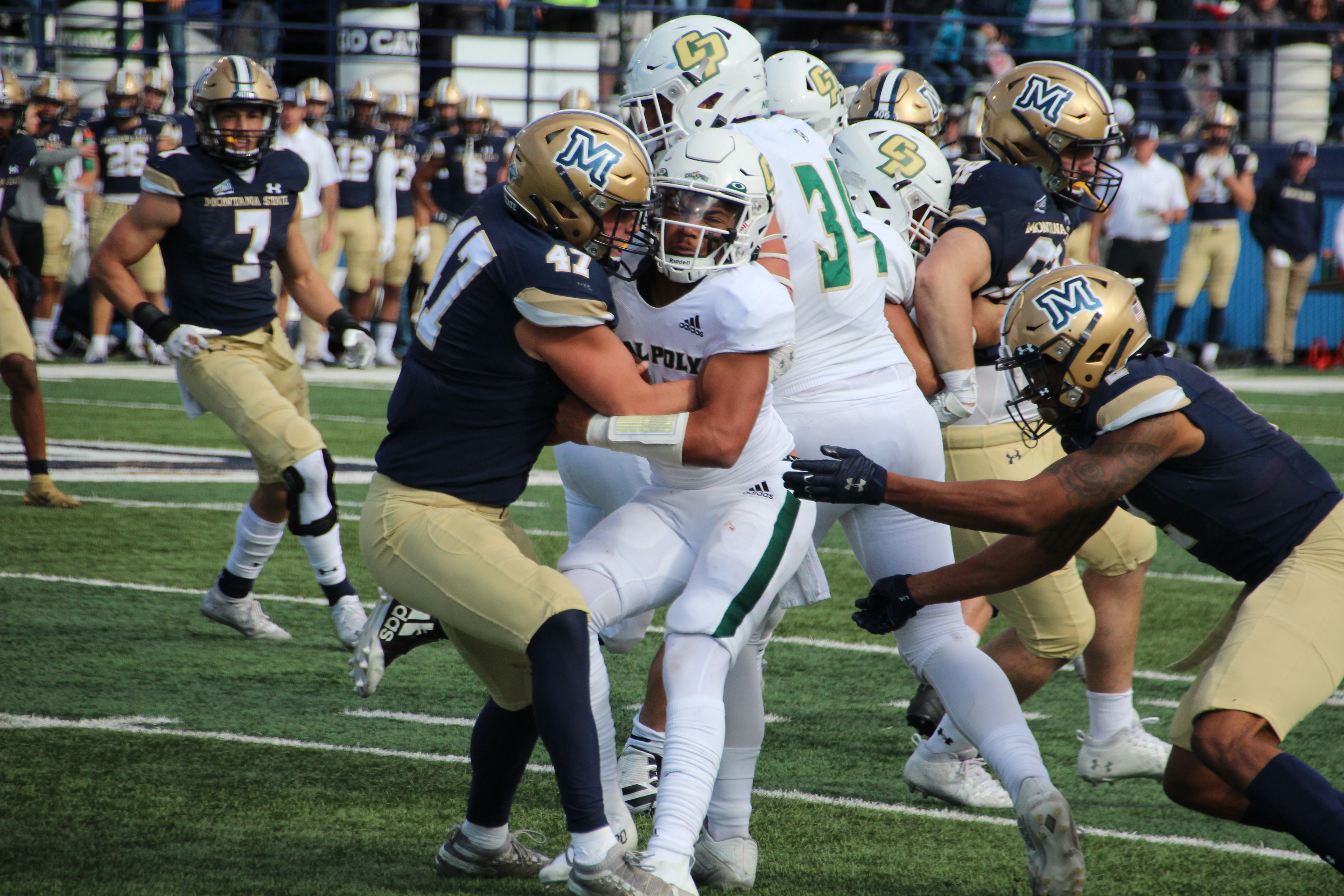 Montana State LB Callahan O'Reilly