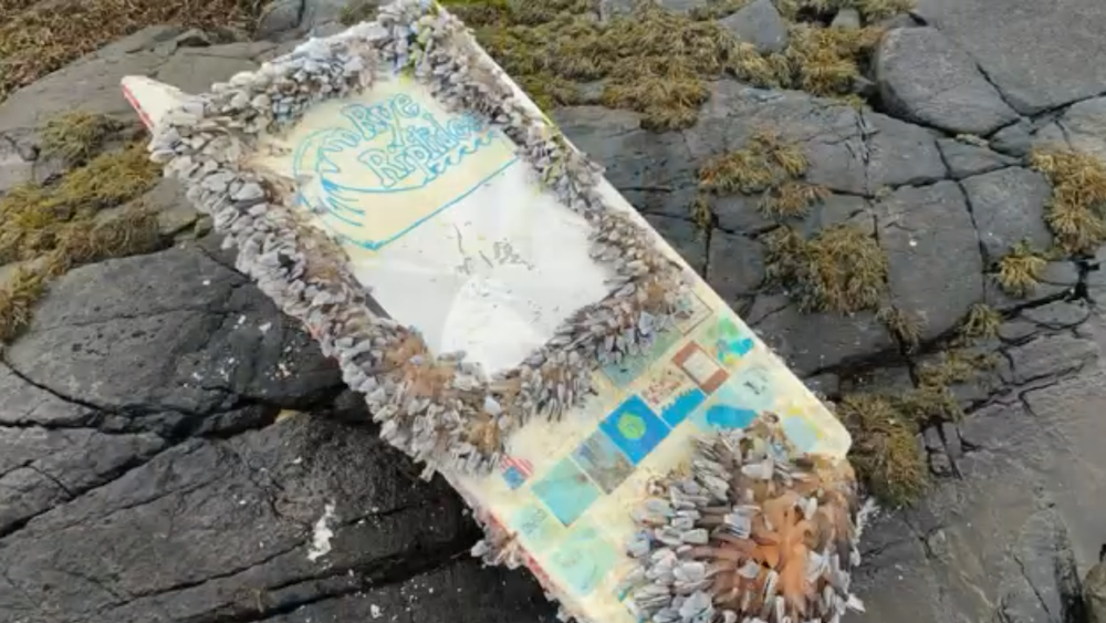 Rye Riptides