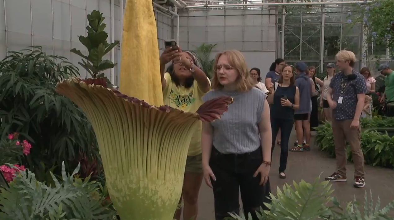 Screenshot 2026-03-23 at 10.22.16 PM.png