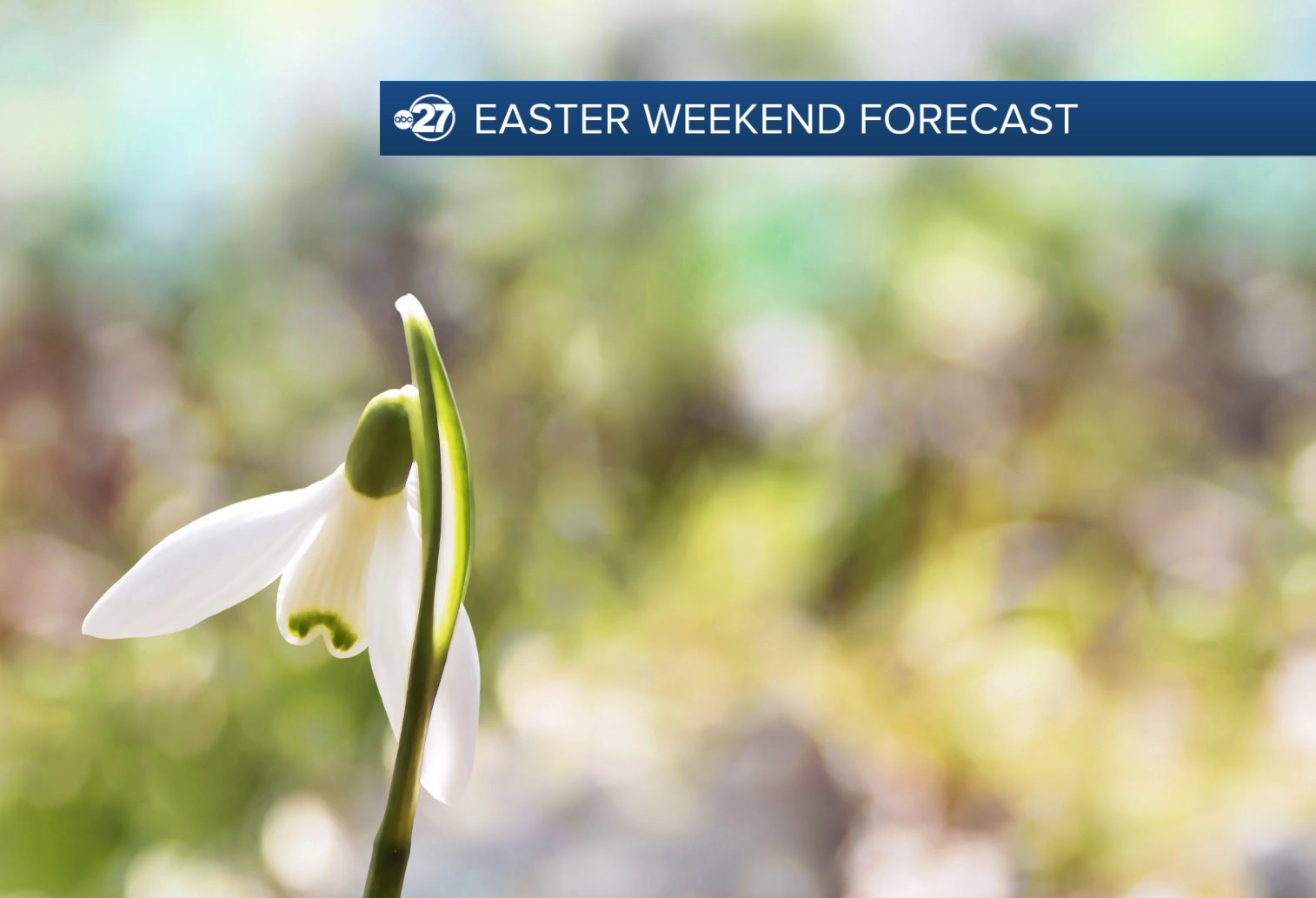 Friday evening thumbnail